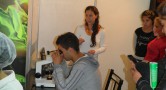 Ver galería de fotos