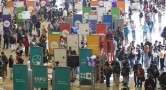 Ver galería de fotos