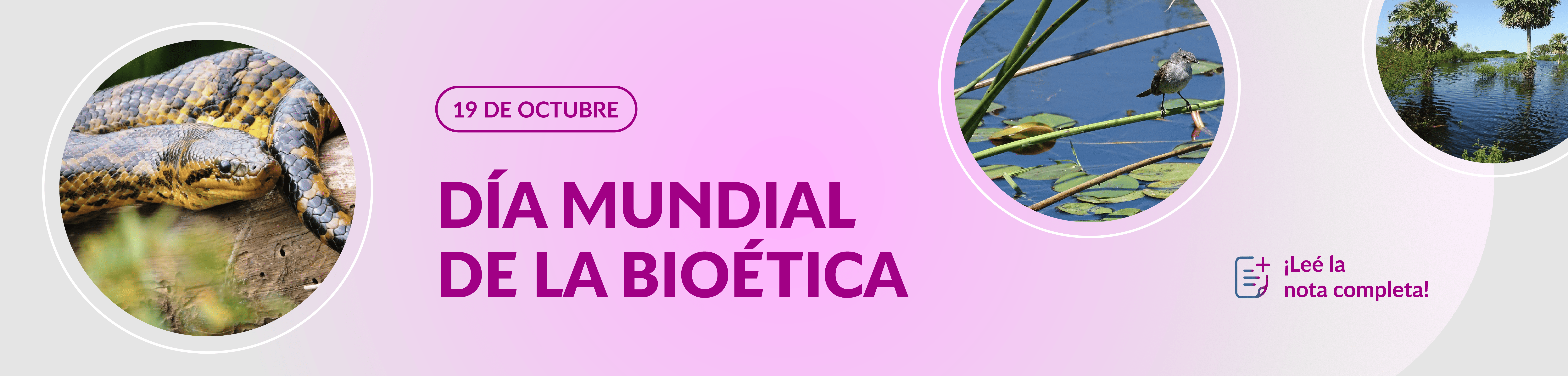Banner-web_Bioética