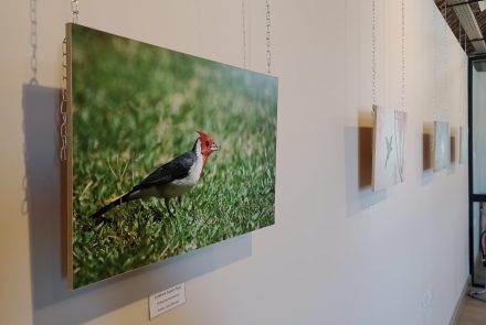 Galería de imagenes | Crearte Litoral 2021/2023