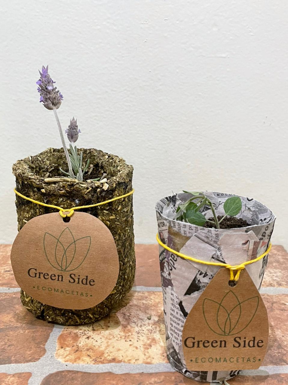 Green Side Ecomacetas: alimentación saludable y ecológica – JIJE