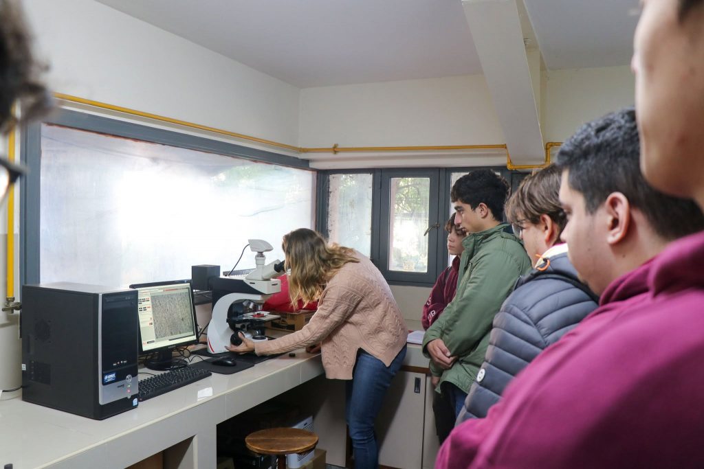 Ingeniería en Materiales