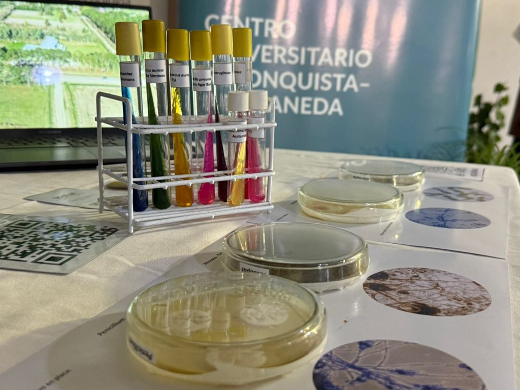 Tecnicatura Universitaria en Tecnología de Alimentos