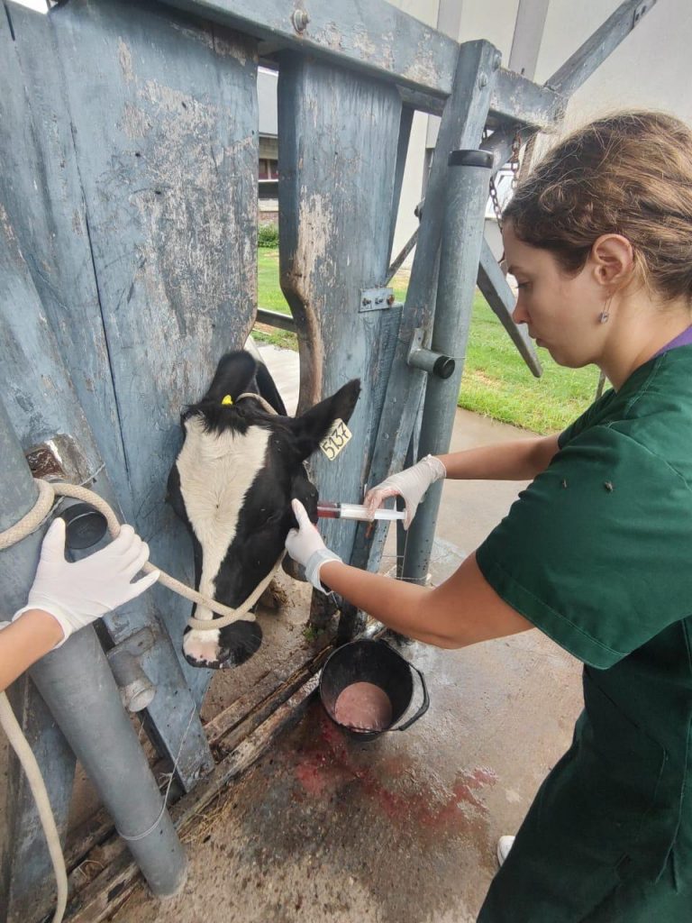 Medicina Veterinaria