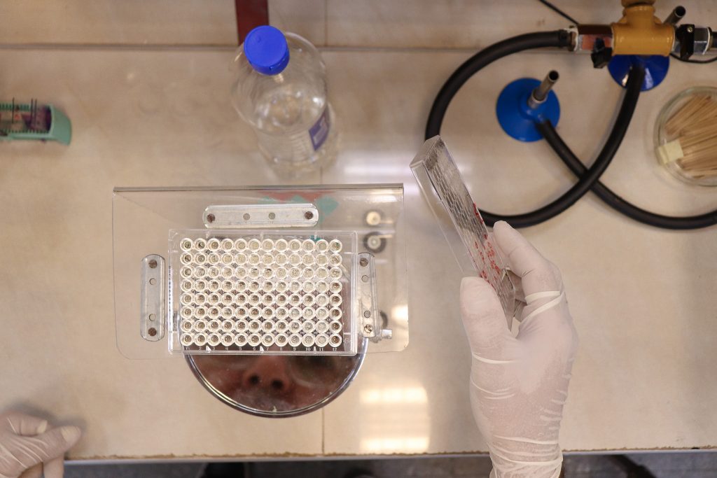 Bioquímica