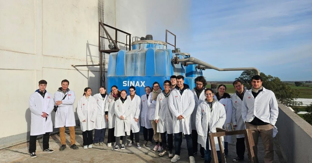 Ingeniería Química
