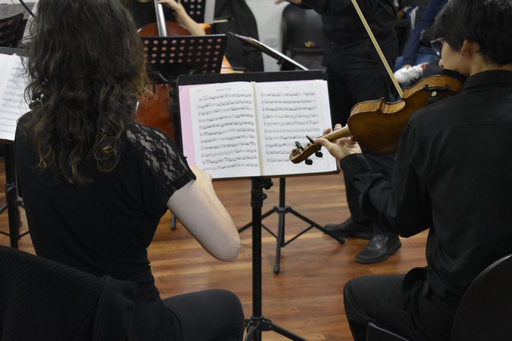Licenciatura en Música con orientación en Violín