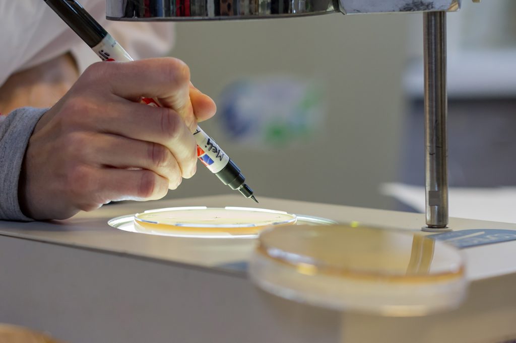 Licenciatura en Ciencia y Tecnología de los Alimentos