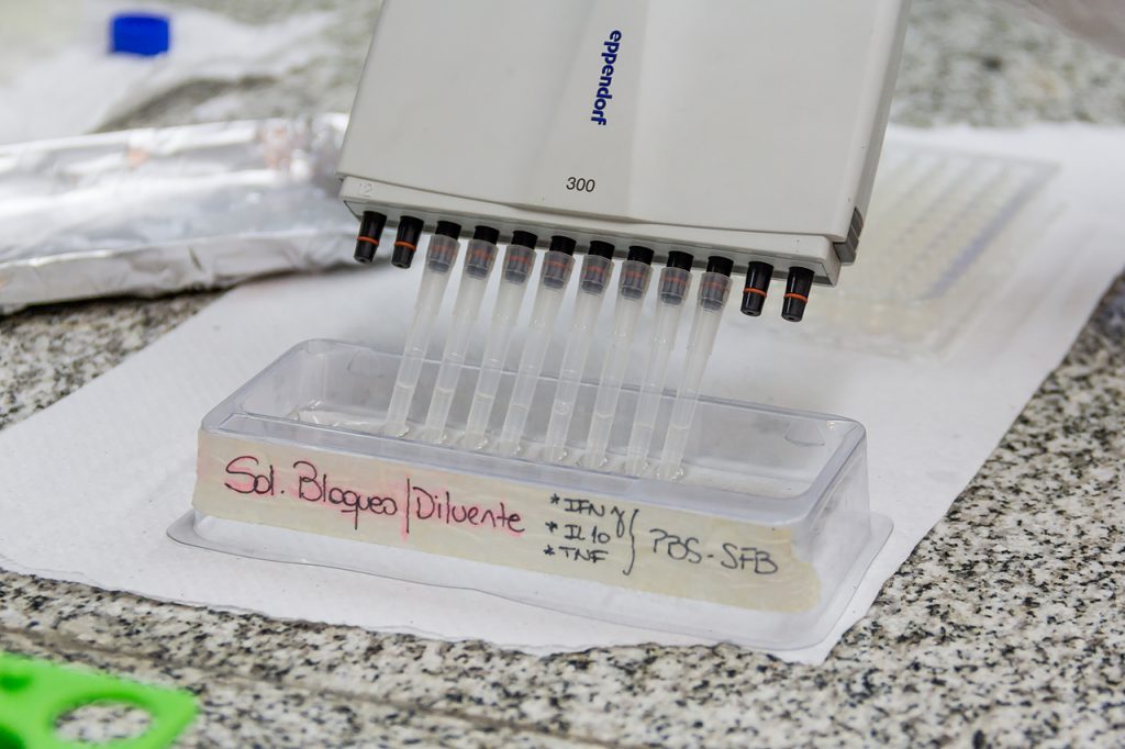 Licenciatura en Ciencia y Tecnología de los Alimentos