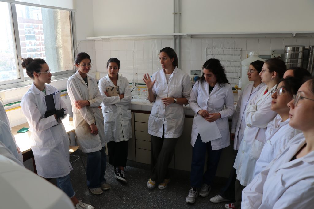 Licenciatura en Química