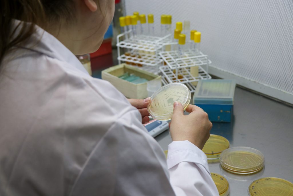 Licenciatura en Química