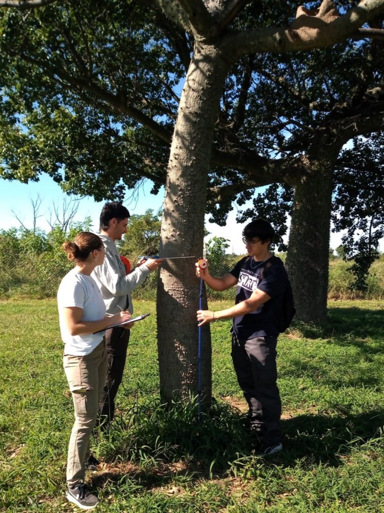Licenciatura en Biodiversidad