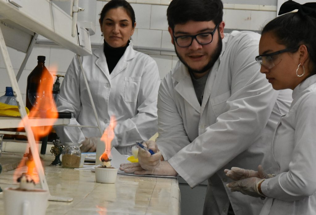 Profesorado en Química