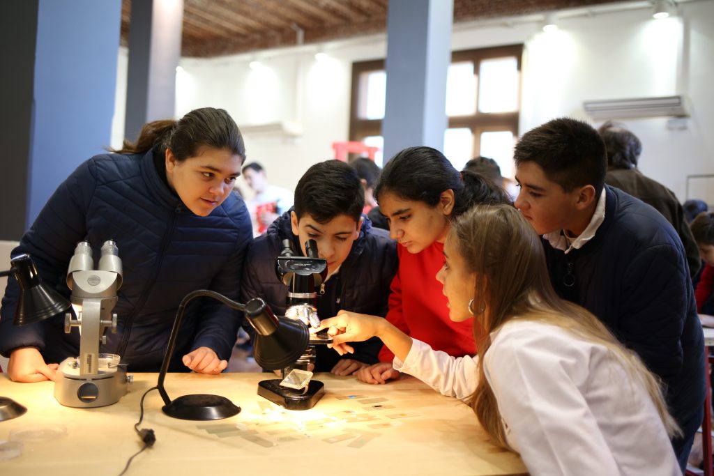 Profesorado en Química