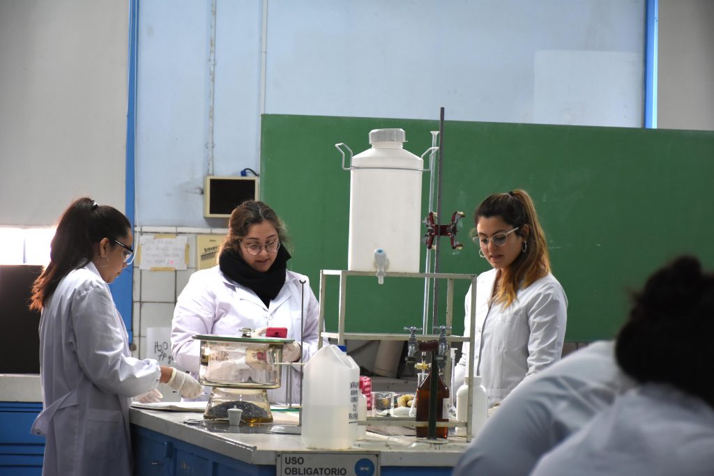 Químico Analista Universitario