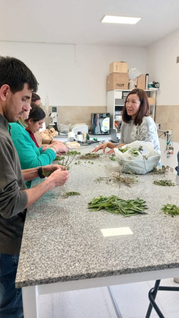 Especialización en Cultivos Intensivos