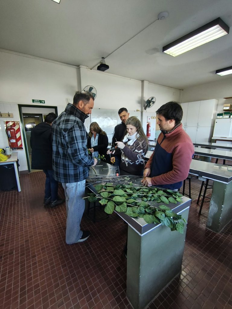 Maestría en Cultivos Intensivos