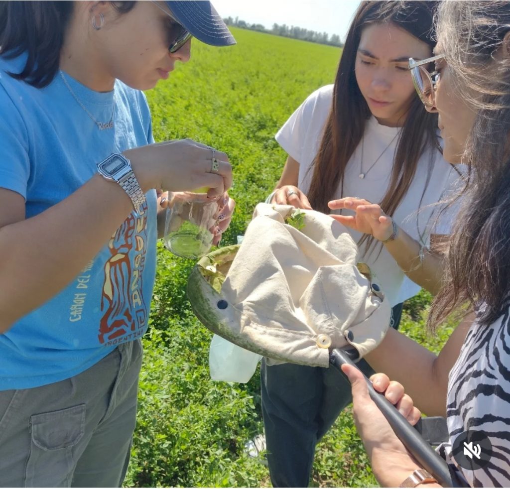 Ingeniería Agronómica